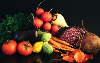 The Journey of Premium Produce and Its Nutritional Benefits